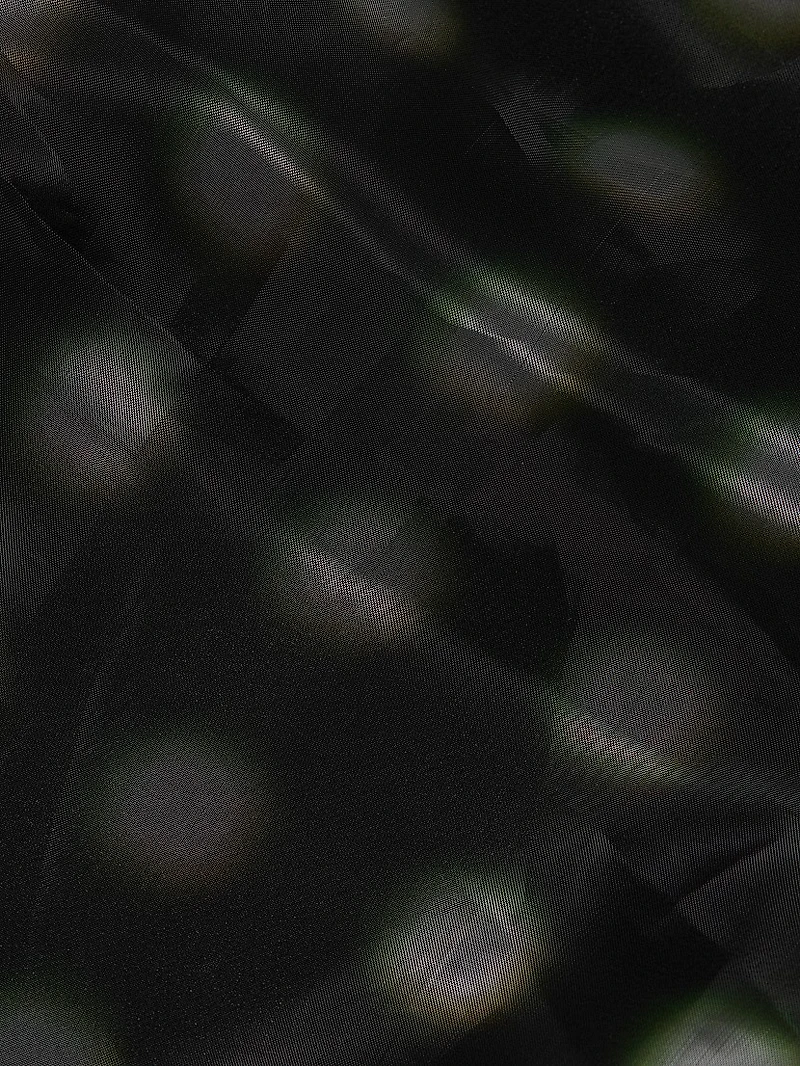 Dia Printed Chiffon Midi-Skirt