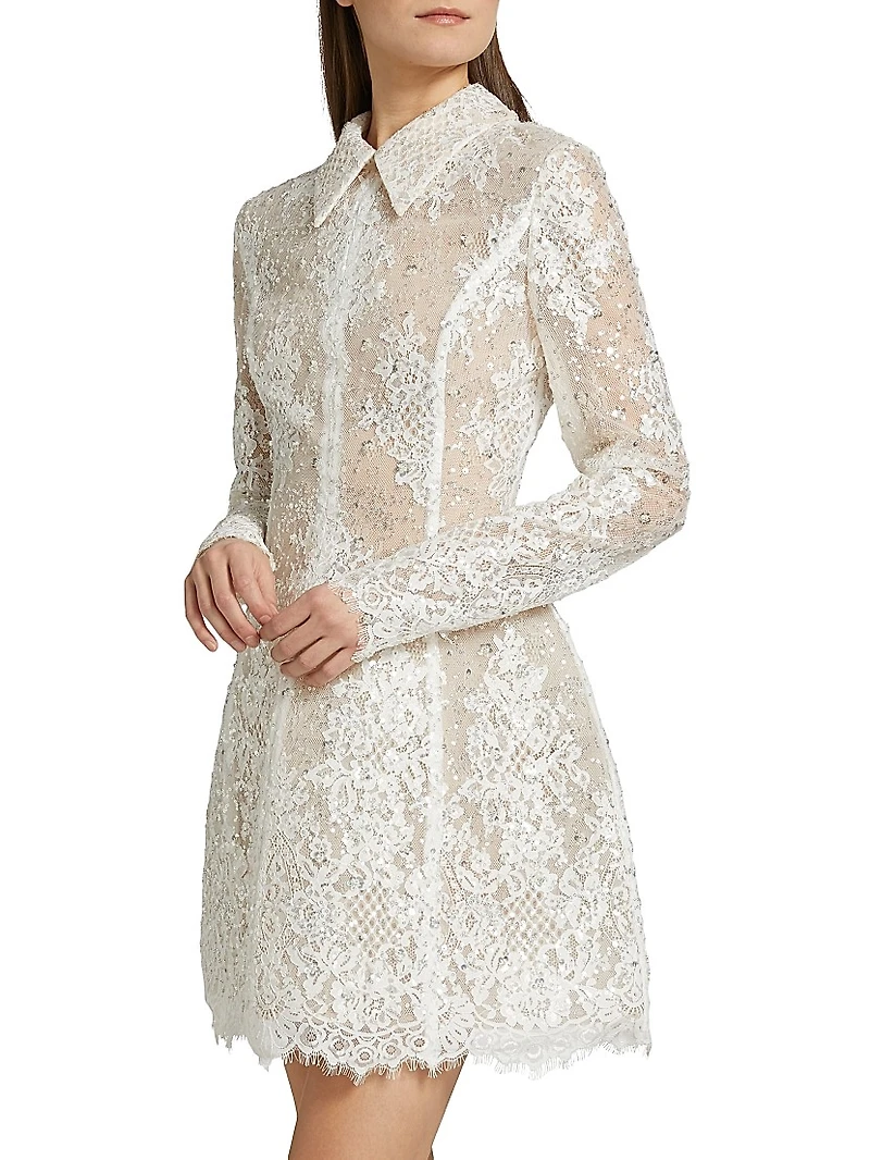 Adelaide Lace Appliqué Minidress