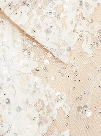 Adelaide Lace Appliqué Minidress