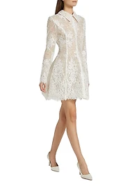 Adelaide Lace Appliqué Minidress
