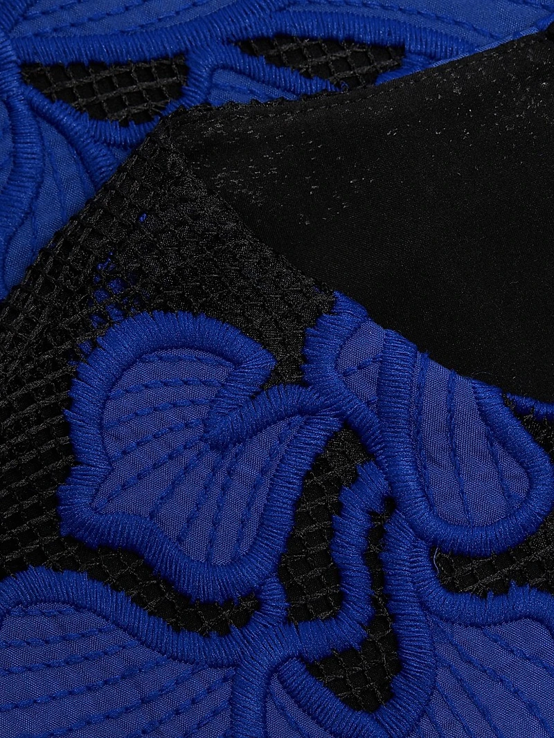 Applied Floral Lace Minidress