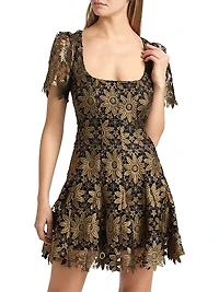 Ilisa Metallic Guipure Lace Minidress