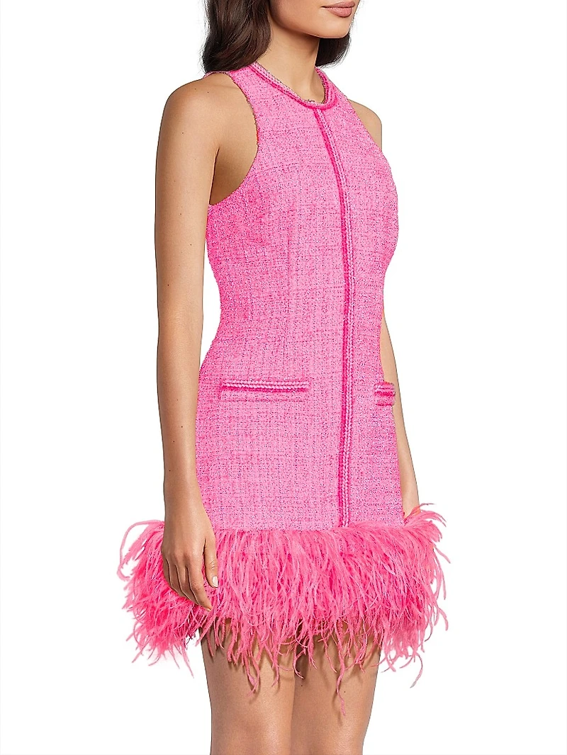 Annalisa Feather-Trimmed Tweed Dress