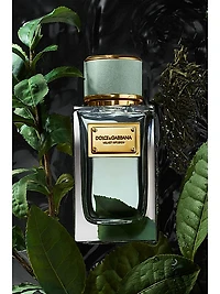 Velvet Infusion Eau de Parfum