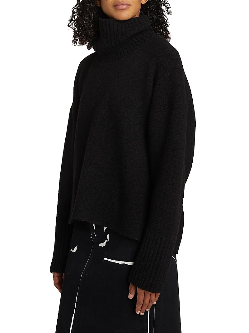 Sandra Turtleneck Sweater