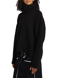Sandra Turtleneck Sweater