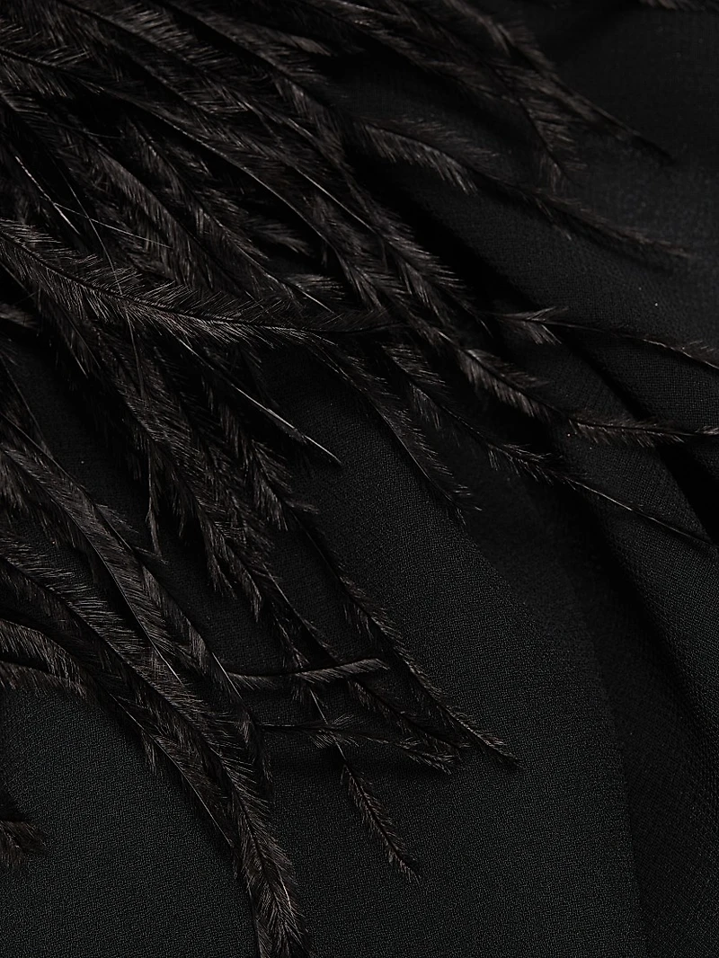 Feather-Trimmed Sheer Georgette Blouse