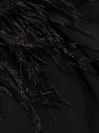 Feather-Trimmed Sheer Georgette Blouse