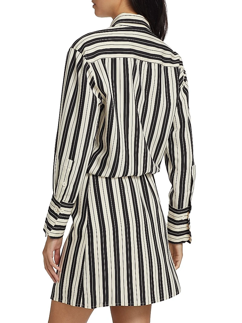 Striped Shirtdress