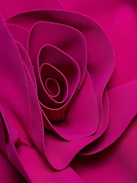 Flower V-Neck Ruched Top