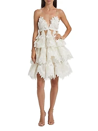 Crush Tiered Lace Minidress