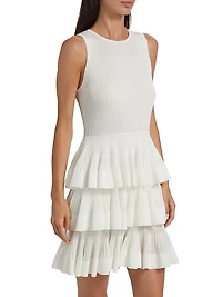 Crush Sleeveless Ruffle Minidress