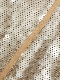 Danielle Sheer Sequined Slipdress