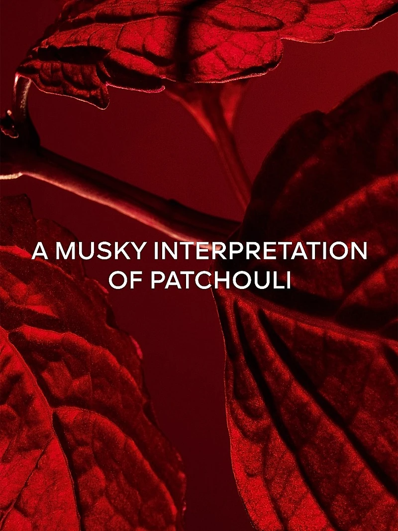 L'Art & la Matière Patchouli Paris Eau de Parfum