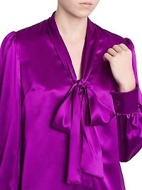 Silk Tieneck Blouse