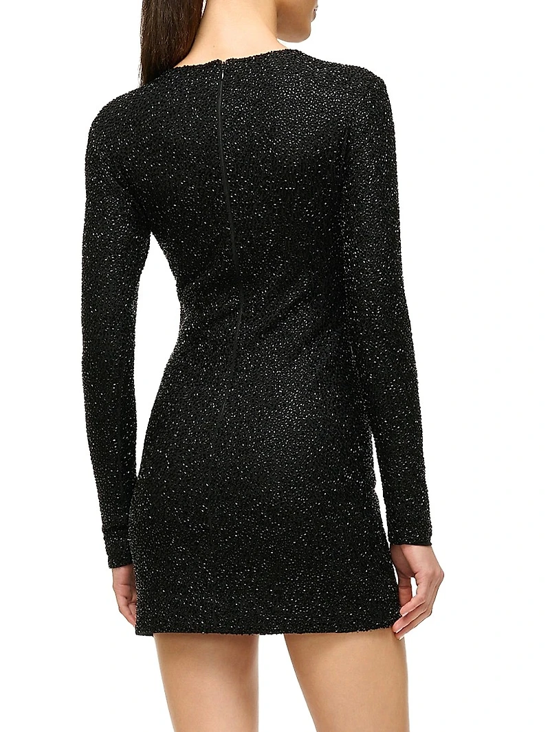 Paradise Embellished Long-Sleeve Minidress