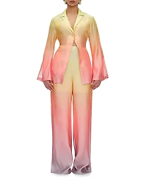 Bata Ombré Chiffon Blouse