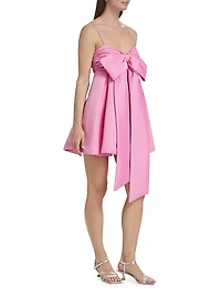 Rose Baby Doll Minidress