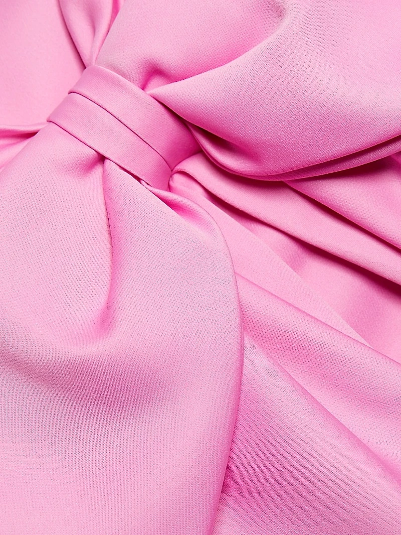 Rose Baby Doll Minidress