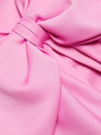 Rose Baby Doll Minidress