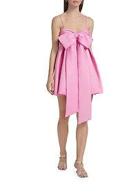 Rose Baby Doll Minidress