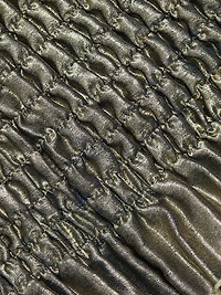 La Fête Maya Metallic Smocked Pleated Strapless Gown