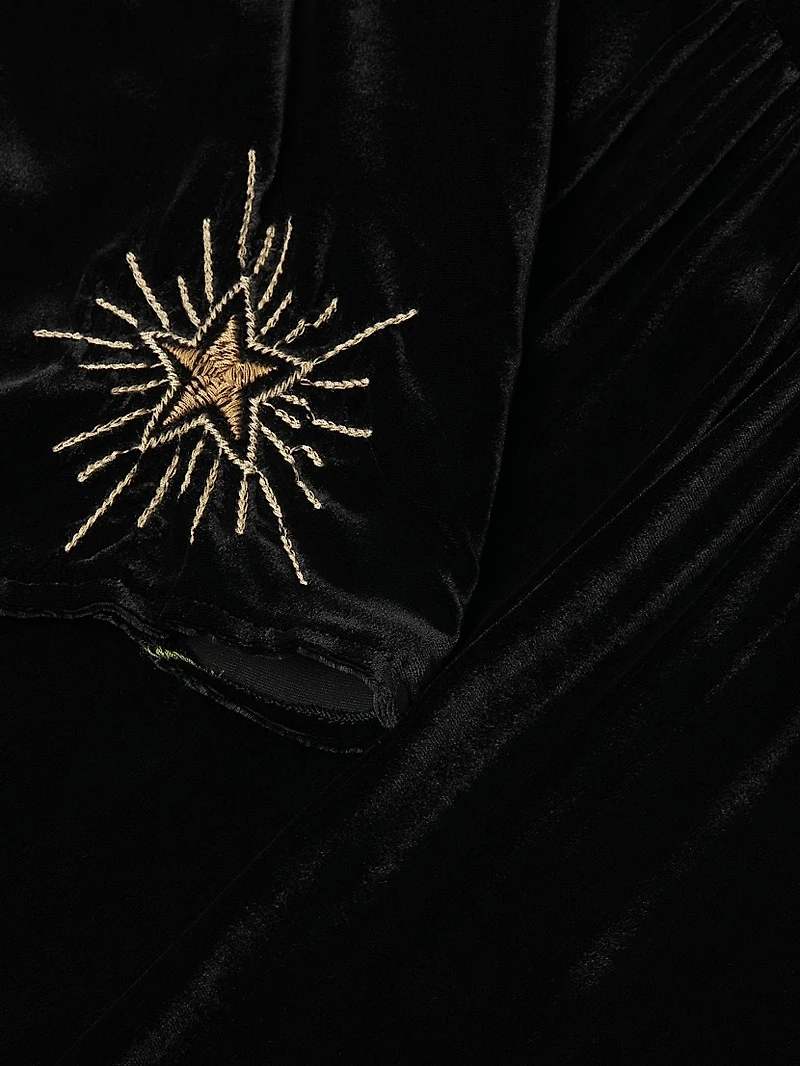 Rhoda Embroidered Velvet Midi-Dress