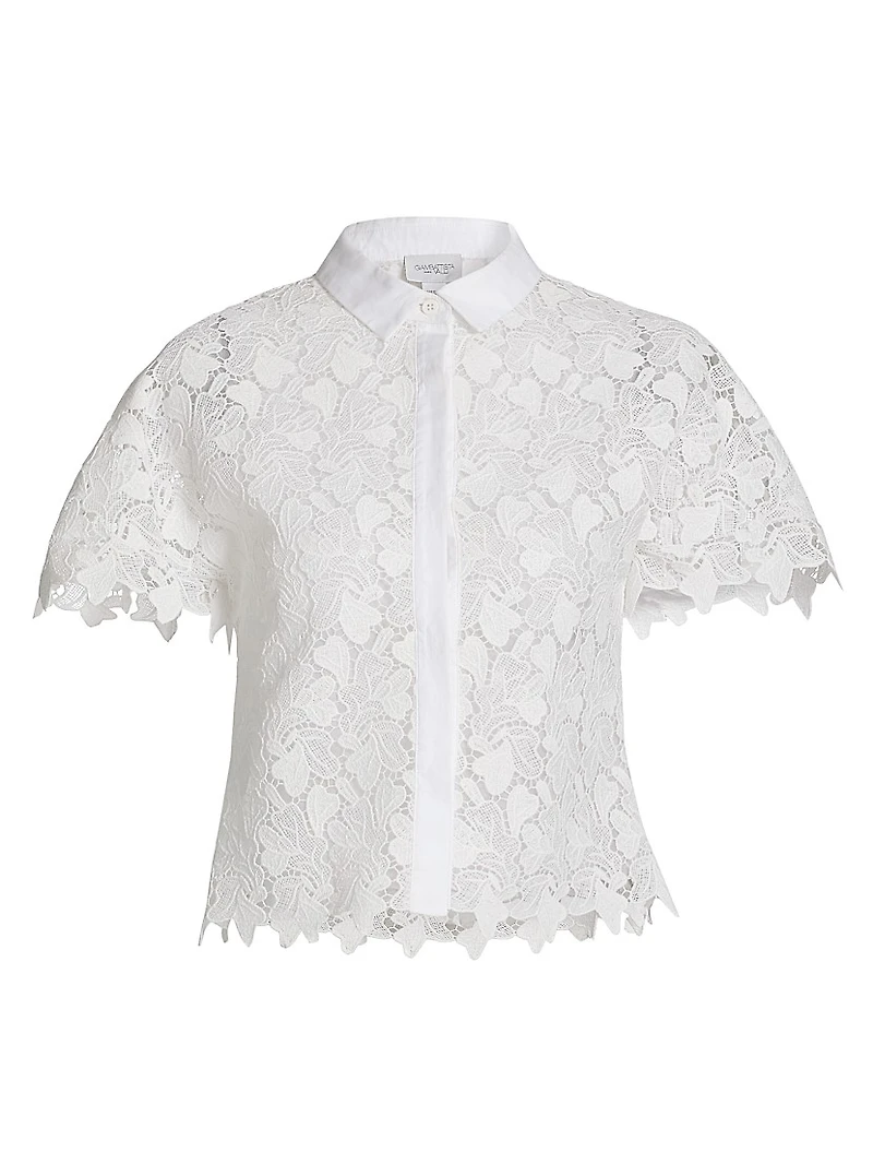 Lace Short-Sleeve Blouse
