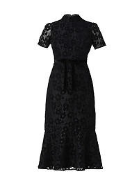 Pierre Lace Fit-And-Flare Midi-Dress