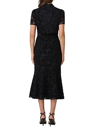 Pierre Lace Fit-And-Flare Midi-Dress