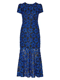 Tahlia Embroidered Mesh & Tulle Dress