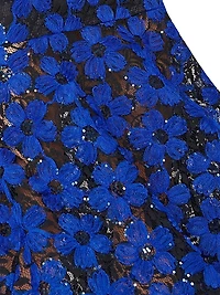 Tahlia Embroidered Mesh & Tulle Dress