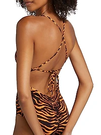 Dioni Leopard Plunge One-Piece Swimsuit