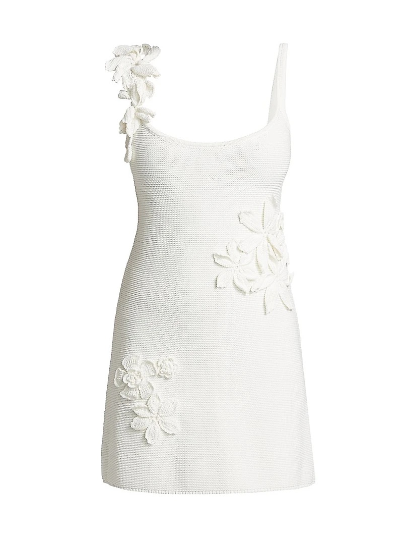 Deedra Floral Appliqué Minidress