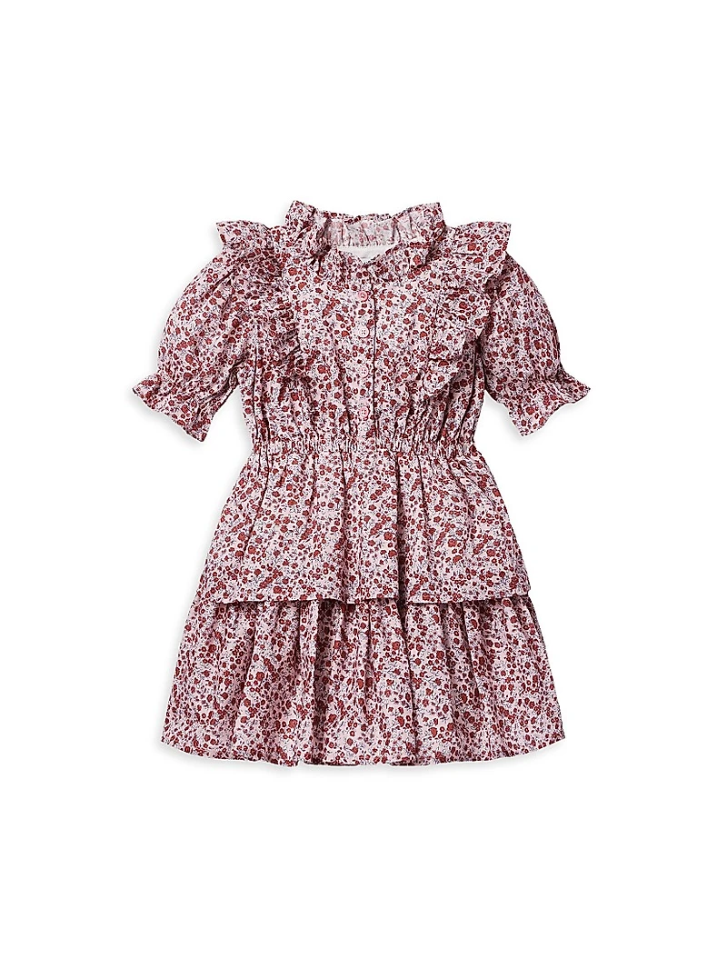 Baby Girl's, Little Girl's & Floral Ruffle-Trim Dress