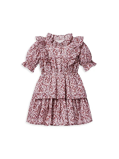 Baby Girl's, Little Girl's & Floral Ruffle-Trim Dress