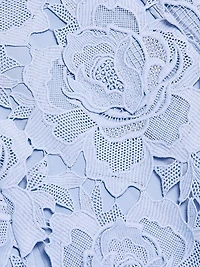 Crystal-Embellished Floral Lace Minidress