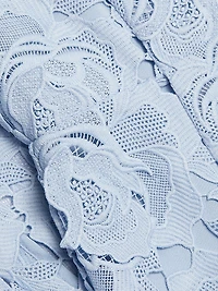 Floral Lace Fit & Flare Midi Dress