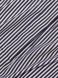Striped Stretch Poplin Shirtdress