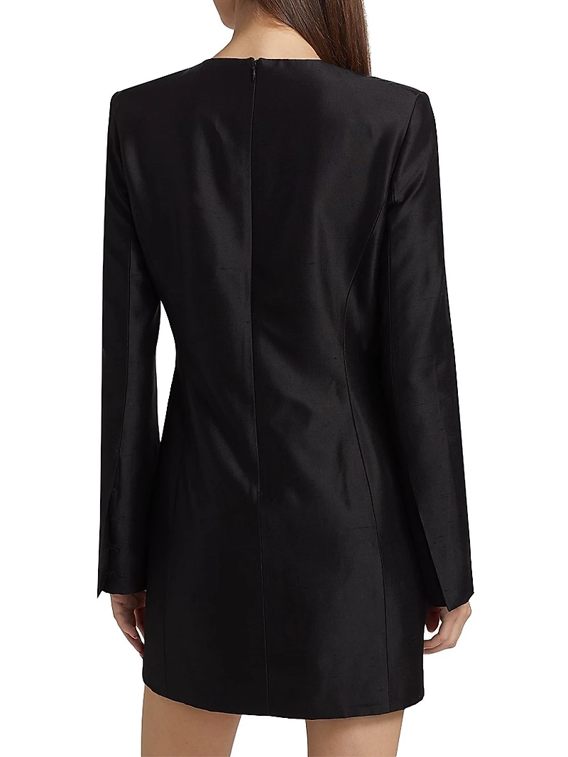Francesca Silk Long-Sleeve Minidress