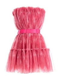 Petra Plissé Tulle Fit & Flare Minidress