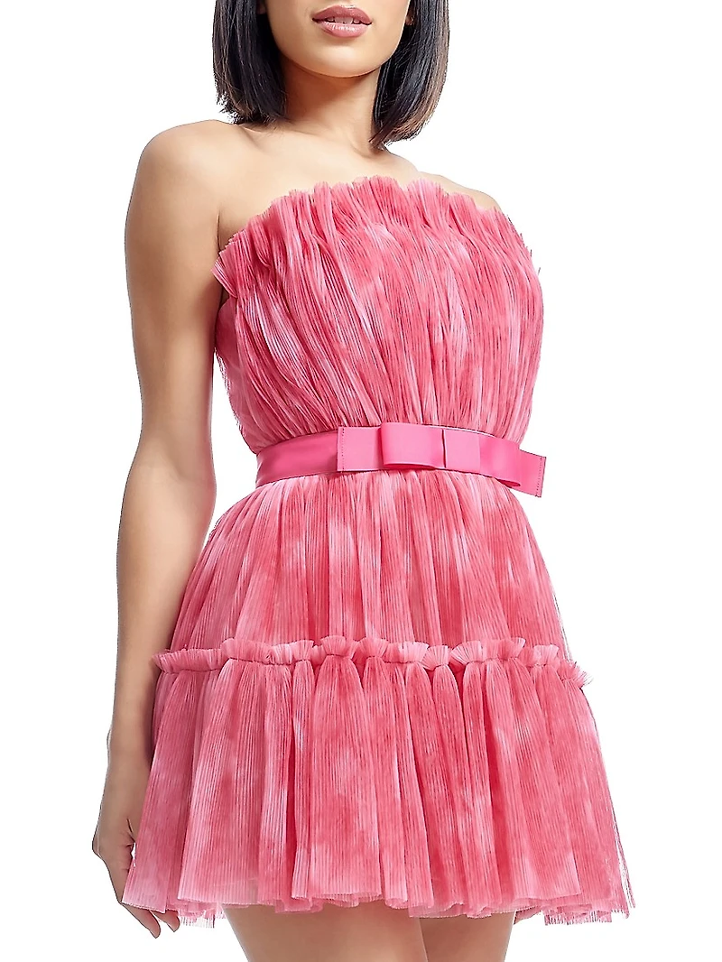 Petra Plissé Tulle Fit & Flare Minidress