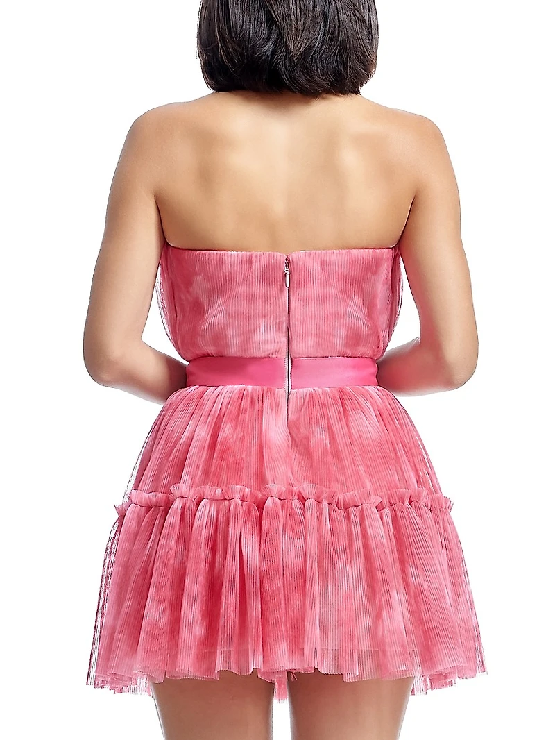 Petra Plissé Tulle Fit & Flare Minidress