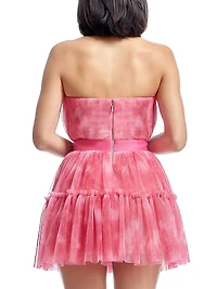 Petra Plissé Tulle Fit & Flare Minidress