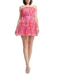Petra Plissé Tulle Fit & Flare Minidress