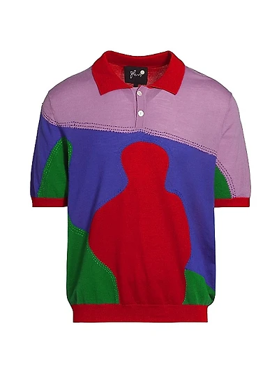 Multicolor Boy Knit Polo Shirt