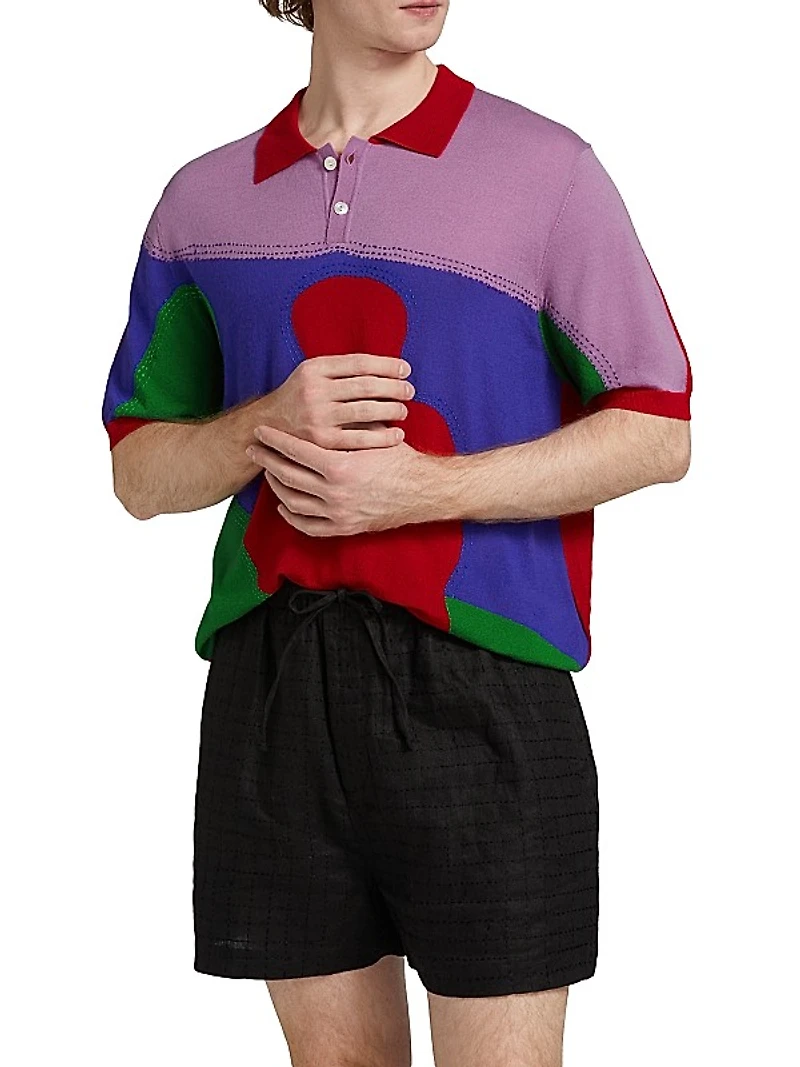 Multicolor Boy Knit Polo Shirt