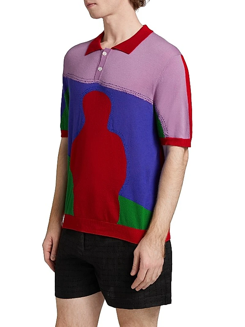 Multicolor Boy Knit Polo Shirt