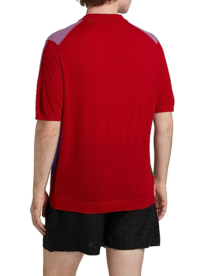 Multicolor Boy Knit Polo Shirt