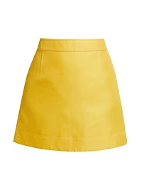 Gardie A-Line Miniskirt